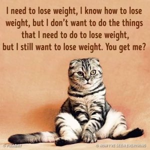loseweight.jpg