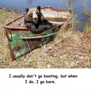 boat bear.jpg