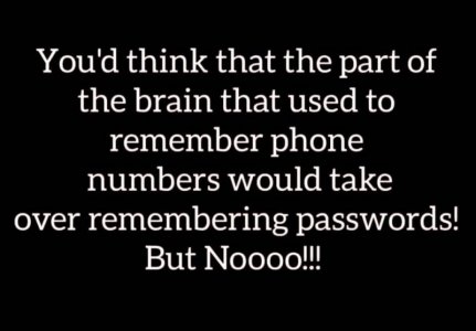 222550802_4561806747172223_6473516136596453901_n[1].jpg