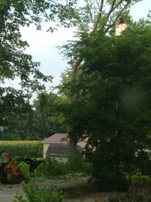 20210728_174240.jpg