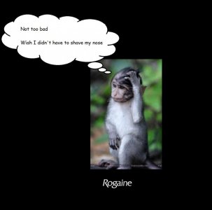 monkey caption fin.jpg