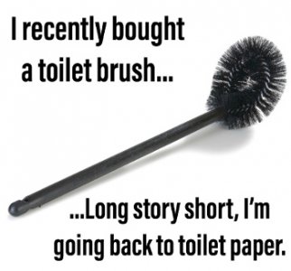 toiletbrush.jpg