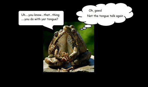 frogs caption fin.jpg