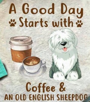 170b590119314399bbf802f0c64610a4[1].jpg