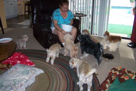 fur babies.jpg