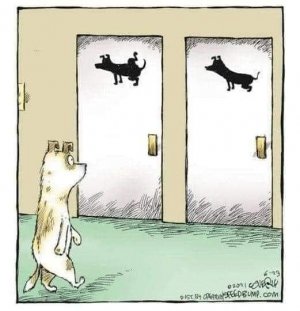 Dog toilet doors.jpg