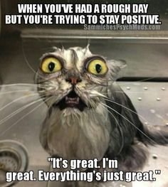 0b6652f296029e475172b84ec62d3f2c[1].jpg
