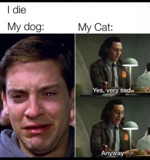 4C4638F4-A8FF-429C-8FE3-DC8675C400DA.jpeg