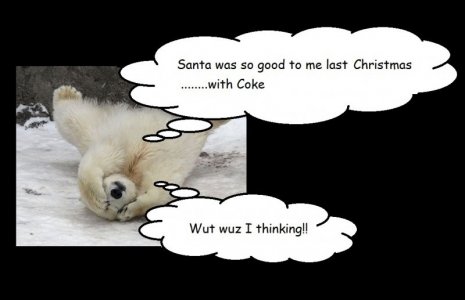 polar bear fin 2.jpg