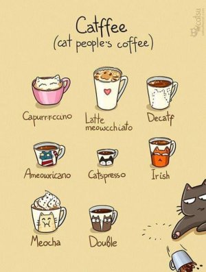 coffeecat01.jpg