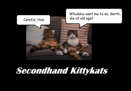 two old cats caption.jpg
