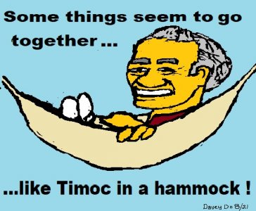 timoc.jpg