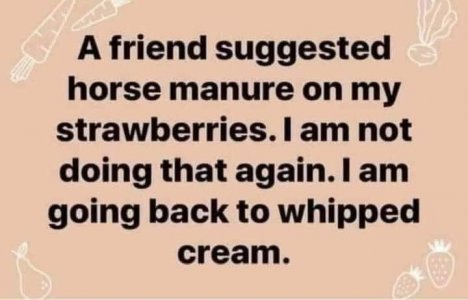 Strawberries.jpg