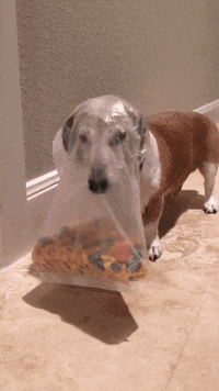 200w (1).gif