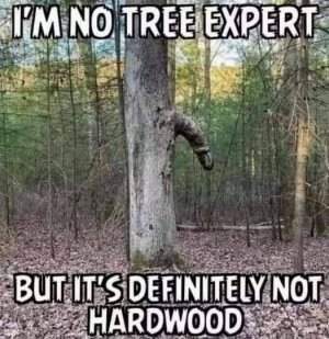 Tree person.jpg