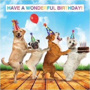 All Occasions Animals Greeting Cards & Invitations for Celebrations & Occasions for sale _ eBay.jpeg