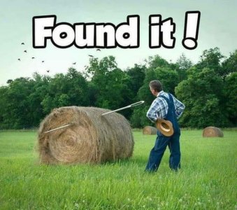 Needle in hay.jpg