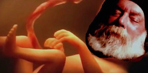 living womb.jpg