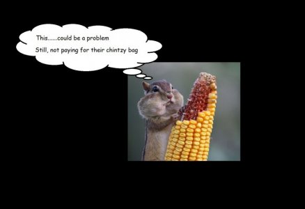 cob of corn caption.jpg