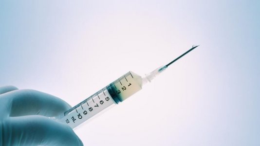 needle.jpg