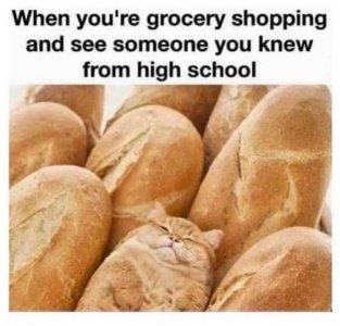 e83b7c485624eb17b8750b2c9c830421[1].jpg