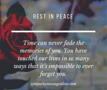 e04ca436d291fa52a70419d25ddc9ad5[1].jpg