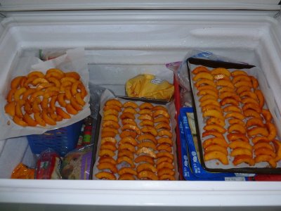 freezing peaches.JPG freezing peaches.JPG