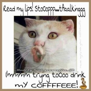 07b870eaf92d4efd23553d15b4a2593a[1].jpg