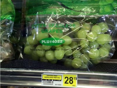 Arctic Grapes.jpg