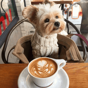 254387119022202.gif