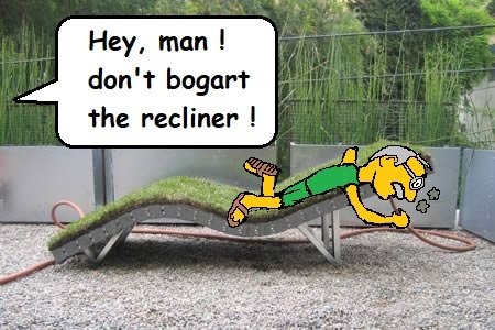 grass.jpg