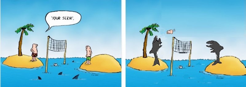 sharks.jpg
