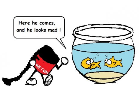 wet vac.jpg