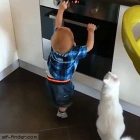 d3c11f34a3bca41a00099e1ca8fecde6.gif