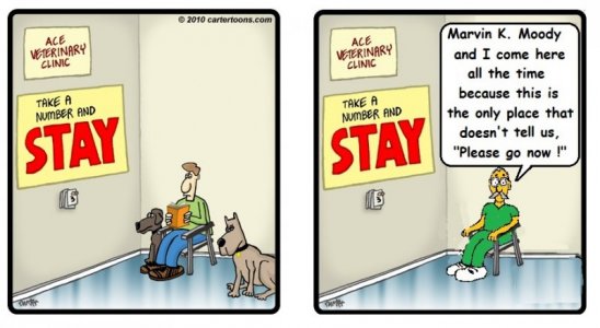 stay.jpg
