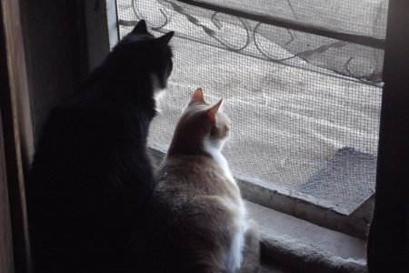 Kam & Annie.jpg