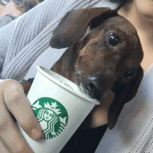 cbe4fe734a33952b09814921b3695a43.gif