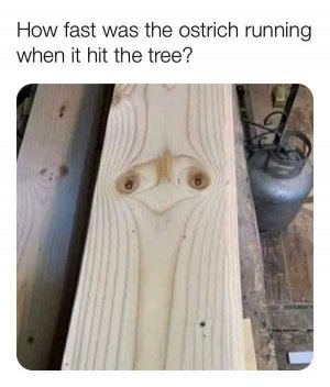 E74AF04B-A19F-403E-B526-64C8071D29BD.jpeg