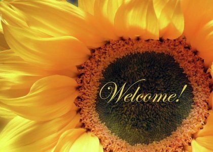 Welcome Card With Sunflower Greeting Card for Sale by Johanna Hurmerinta.jpeg