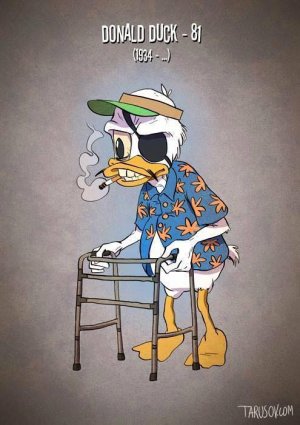 donald.jpg