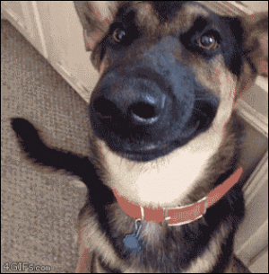 lAUkwg1.gif