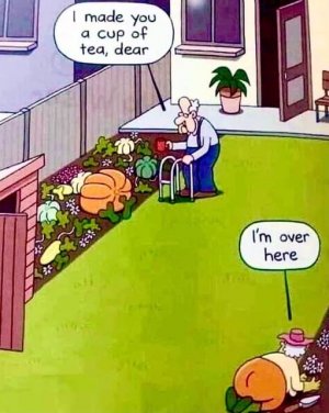 Cup of tea.jpg