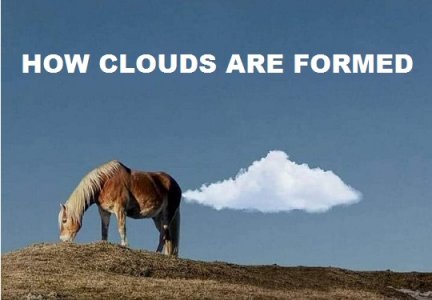 horse.jpg
