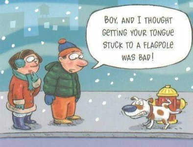 Dog stuck to hydrent.jpg