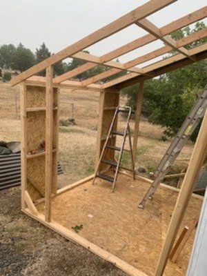 shed progress.jpg 2.jpg