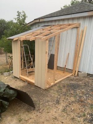 shed progress.jpg