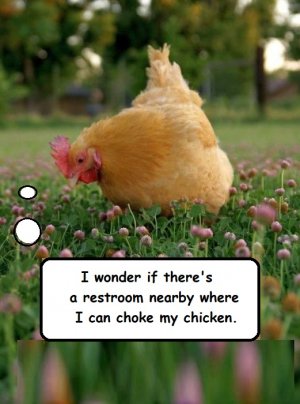 chicken.jpg