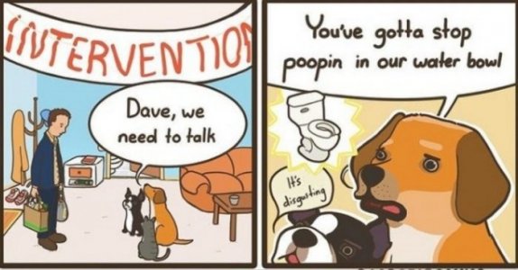 dkgs.jpg