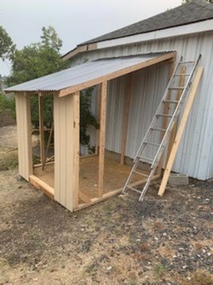 SHED ROOF 2.jpg