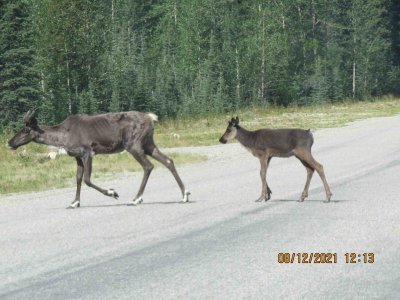 IMG_0289.JPG